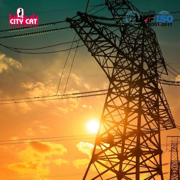 City Cat Electric Transmission Parts
